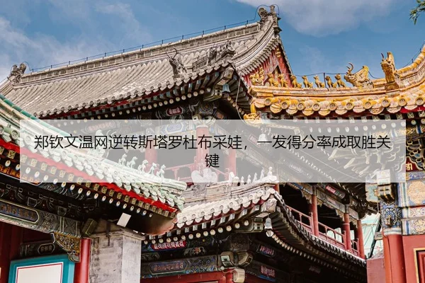 zheng-qin-wen-wen-wang-ni-zhuan-si-ta-luo-du-bu-cai-wa-yi-fa-de-fen-lv-cheng-qu-sheng-guan-jian-3-680.jpg